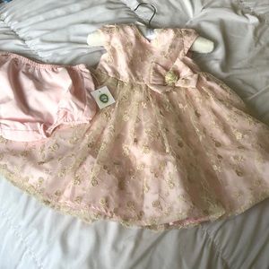 NWT Baby girl dress and bloomers